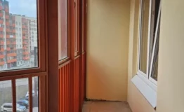 Царство 11