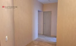 Царство 19