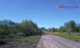 Слайд5