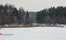 Янино 21