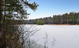 IMG_20251211_171952_717