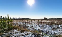 IMG_20251211_172518_427