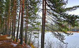 IMG_20251211_172658_374